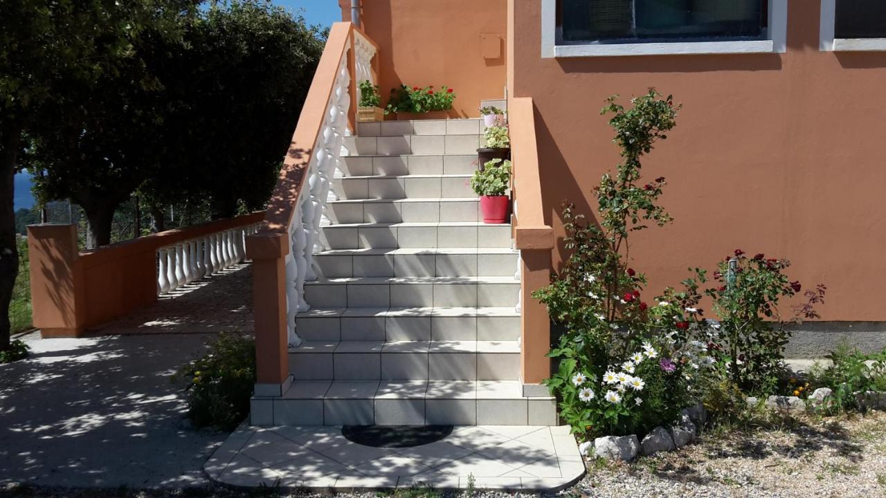 Apartman Jadranka Palit Bagian luar foto