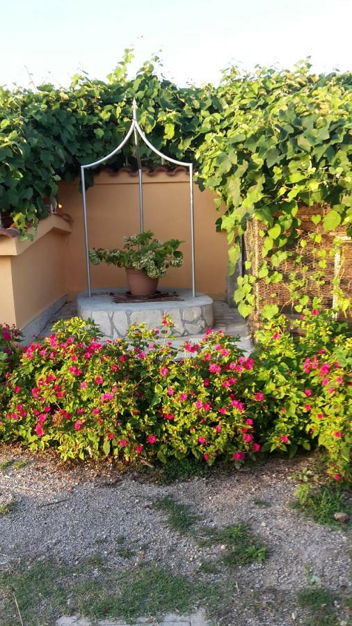 Apartman Jadranka Palit Bagian luar foto