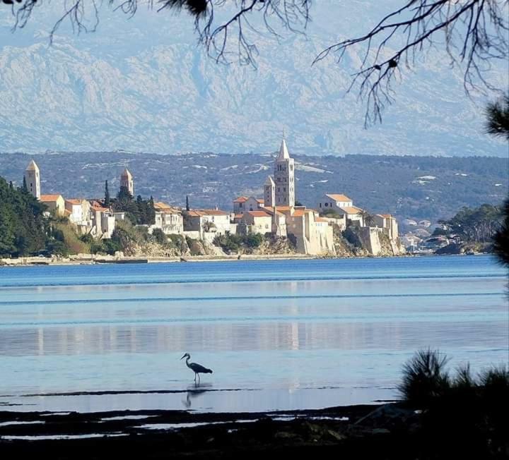 Apartman Jadranka Palit Bagian luar foto